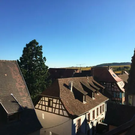 P'tit Biscuit Apartament